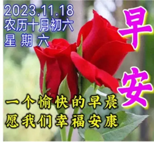 西瓜视频：2023澳门码今晚开奖结果记录，2023年11月18日周六早安祝福语 星期六早上好问候图片  