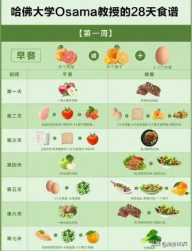 哈佛大学教授的28天减脂食谱！挑战月瘦20斤 