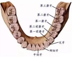 根管治疗这么贵，到底贵在哪？听听医生怎么说 