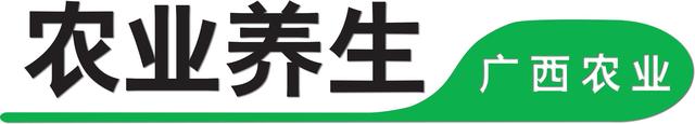 感冒喉咙痛别急着吃药，这13种食物可以有效缓解…… 