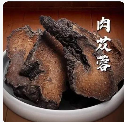 每日一味中药——肉苁蓉 