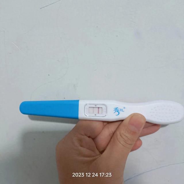 孕育生命的前三个月 2023.12 