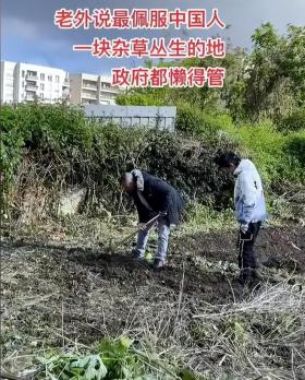 494949最快开奖今晚开什么，揭秘探索：法国市长约见荒地种菜的中国大姐：小朋友还可以来免费体验  