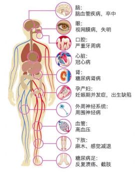 糖尿病患者要补充的9种营养素 