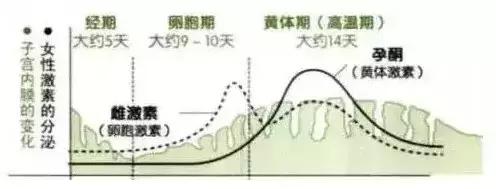 【绿色家庭】什么是排卵期和安全期？想备孕的女神都看看 