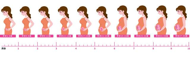 备孕中的准爸准妈，成功、快速怀孕的小秘诀，送你哈 