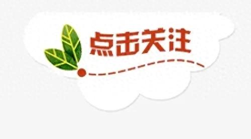 澳门必中一肖一码第一个，揭秘探索：小沈阳杭州合唱氛围拉满  