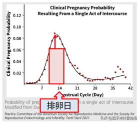 什么时间最容易怀孕？ 