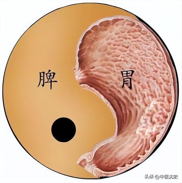 分享补气健脾、化湿祛痰的6个经典中成药，学会全家受益 