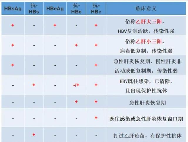 果蔬养生 第6页