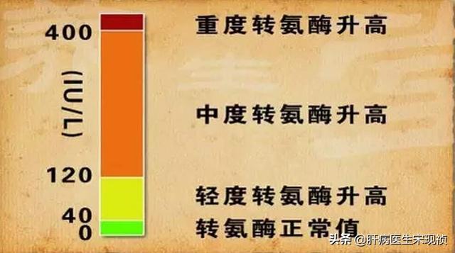 转氨酶高一定是肝炎吗？不，切勿被转氨酶高蒙蔽了双眼 