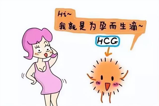 β-hcg正常值参考范围是多少？ 