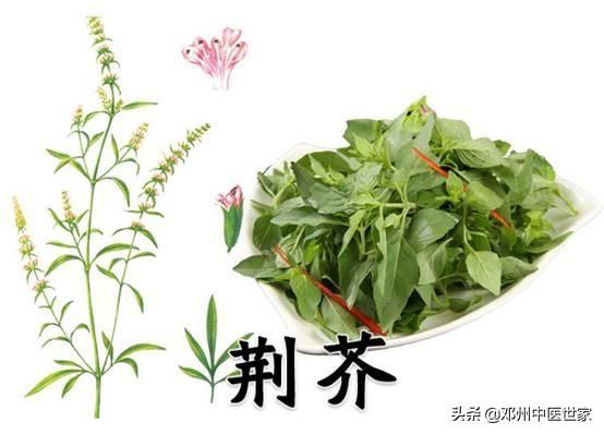 药性歌括四百味、荆芥 