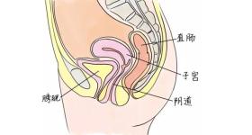 女人须知:关于阴道，你必须知道的4个正经冷知识，别不好意思 