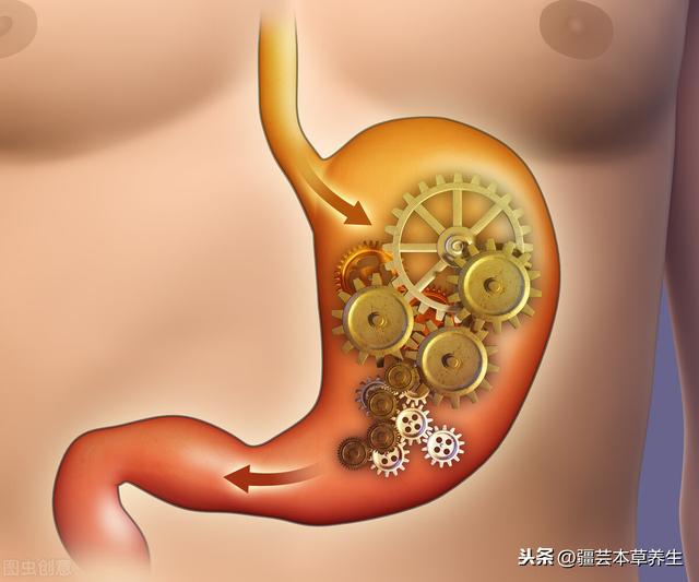 陈皮泡水喝的4大功效，陈皮泡水喝的正确方法 