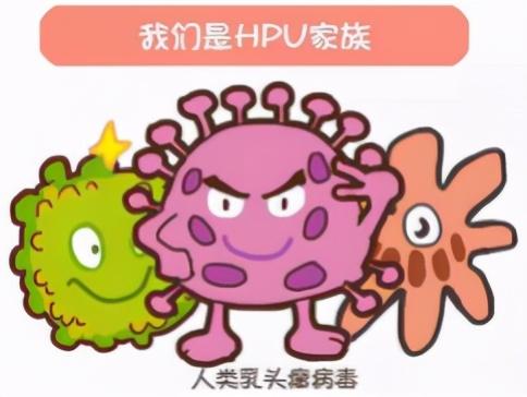 HPV到底是什么呢？ 