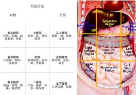 出现左下腹疼痛，有哪些常见的病因，该咋办？医生给您详细讲清楚 