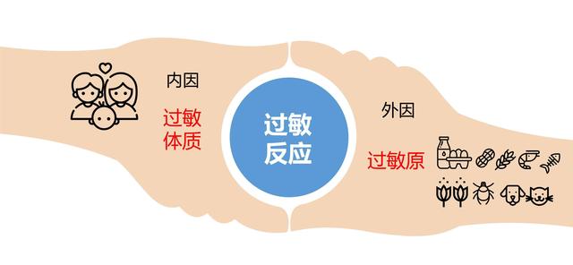 过敏这个现代病可大可小，如何了解？严重发生时又该如何急救？ 