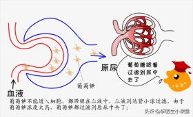 医生辟谣：5种常见疾病根本无法治愈，说能治好的，都是想骗钱 