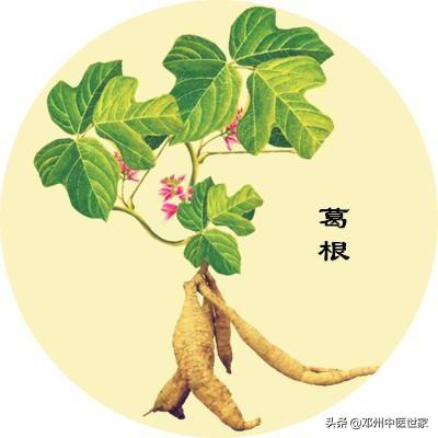 药性