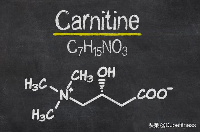 了解左旋肉碱，看看科学，然后决定它是否适合你 