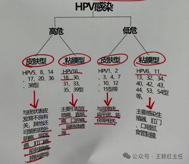 远离HPV检查套路，HPV感染就查这2样，其他都是多余开销！ 