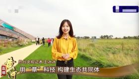 央视记者王冰冰旧照曝光，从土妞到女神的逆袭之路